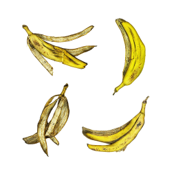 Шкурки плода банана