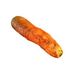Washed Carrot