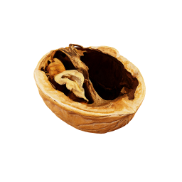 Walnut Shell