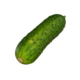 Pimply Cucumber