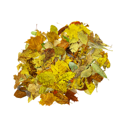 Bündel Herbstblätter