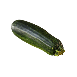 Lange Zucchini