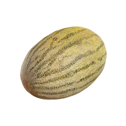 Gestreifte Melone