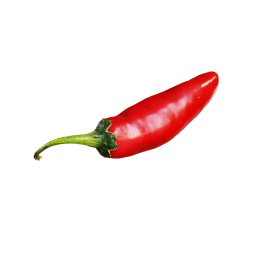 Rote Paprika