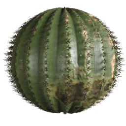 Stacheliger Kaktus mit Stacheln