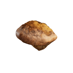 Древесный гриб