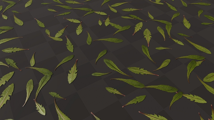 Крупные листья одуванчика