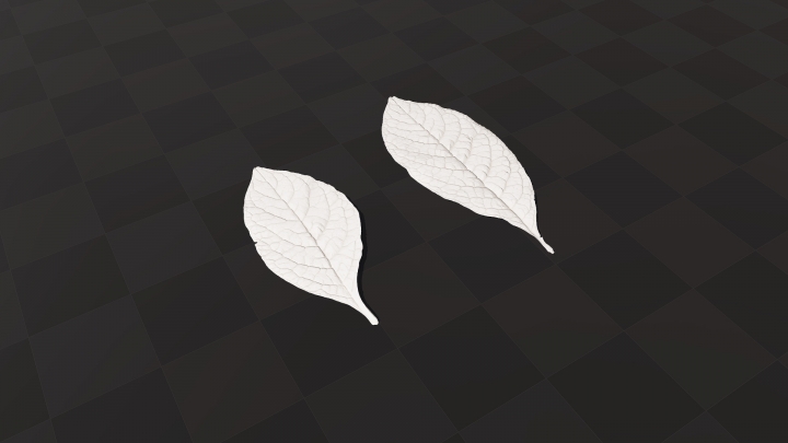 Verschiedene Blätter von Lakonos