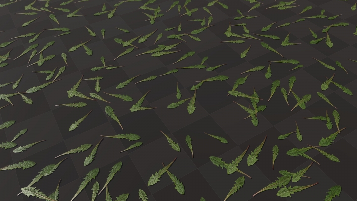 Зеленые листья одуванчика