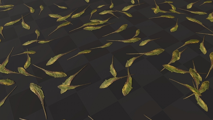 Rotten Dandelion Leaves