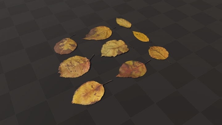 Yellow Dried Leaves