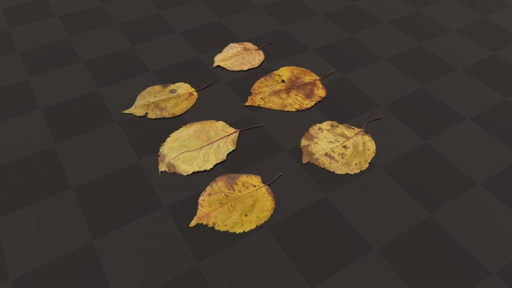 Желтые осенние листья
