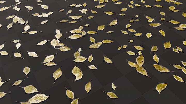 Verschiedene Blätter von Elegantissima