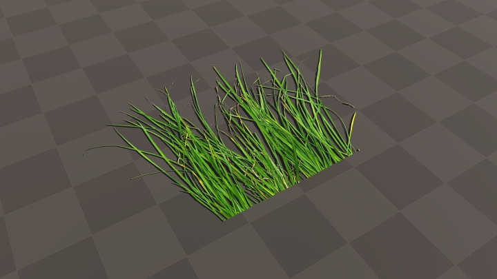 Feuilles d'herbe verte