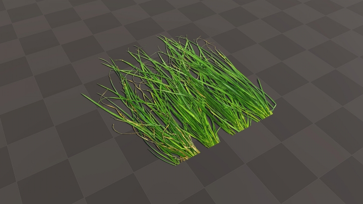 Куст зеленой травы