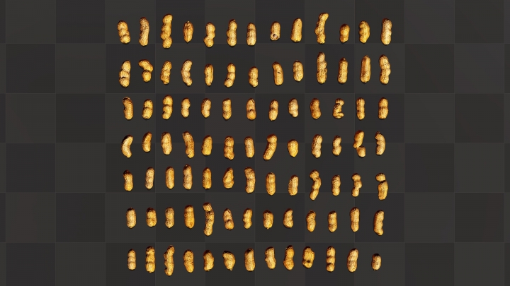 Erdnüsse in der Schale