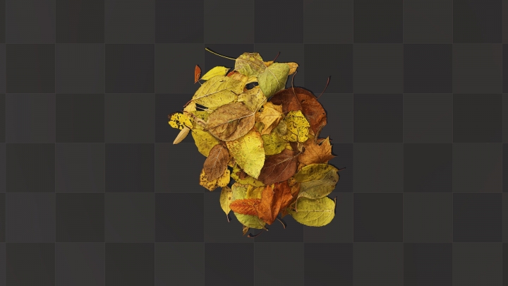 Куча осенних листьев