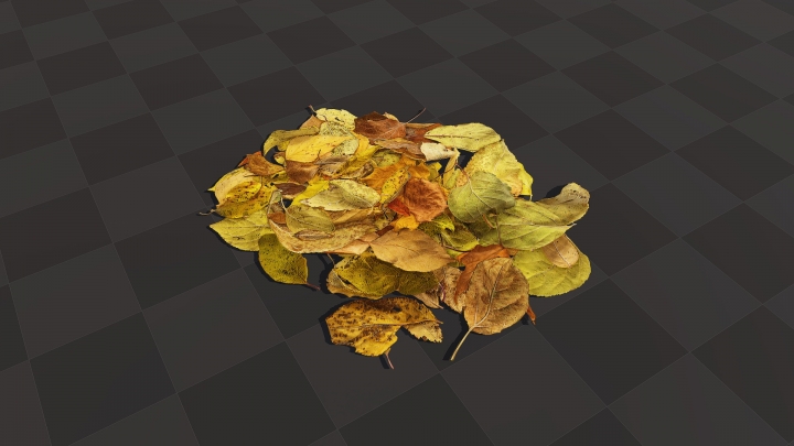 Куча осенних листьев
