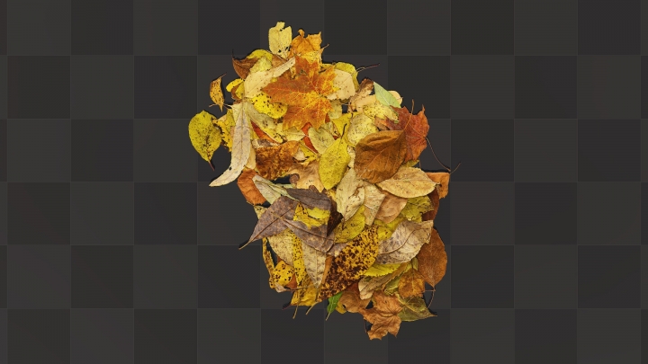 Tas de feuilles d'automne