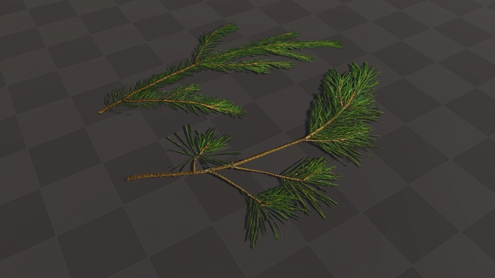 Branches de pin