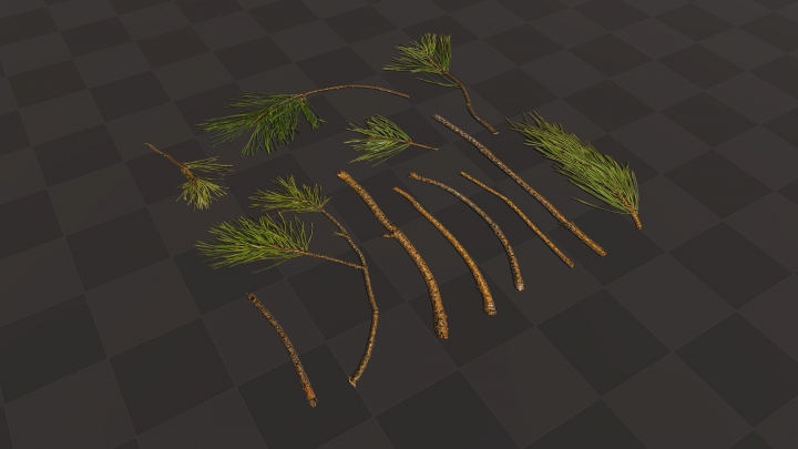 Branches de pin vert
