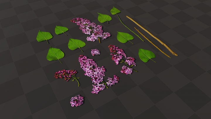 Lila Blüten und Blätter