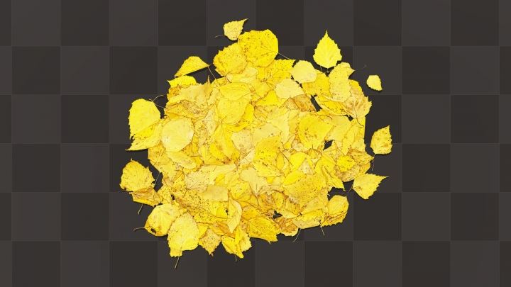 Bouquet de feuilles jaunes