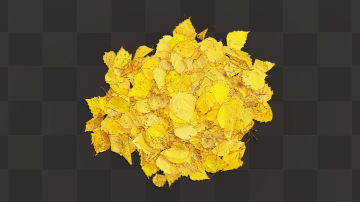 Куча желтых листьев