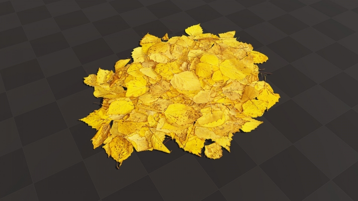 Bouquet de feuilles jaunes