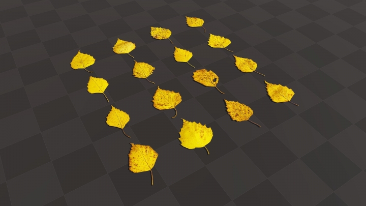 Желтые березовые листья