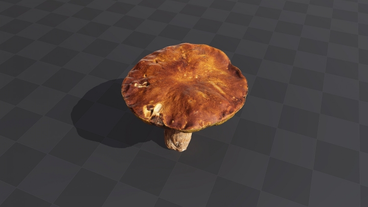 Большой коричневый гриб