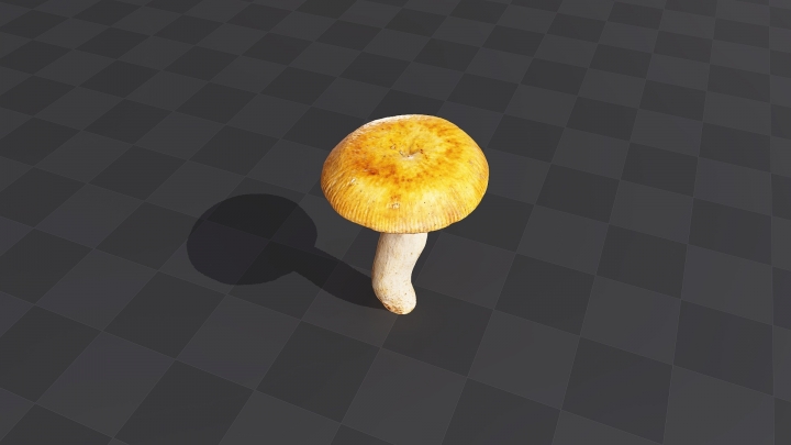 Коричневый гриб