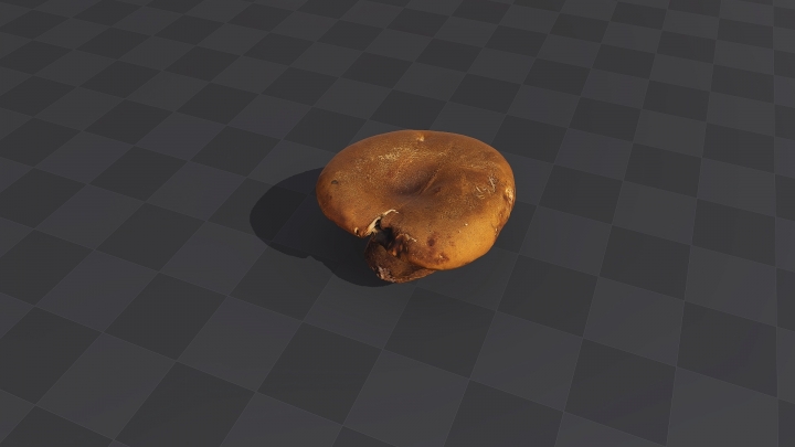 Small Brown Mushroom