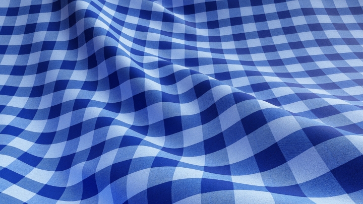 Blue Plaid Fabric