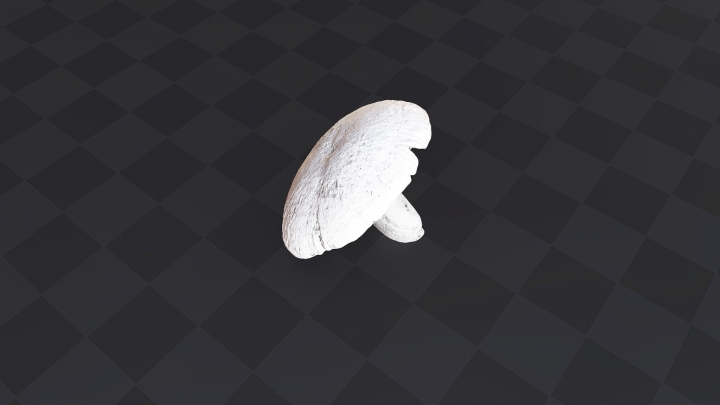 Mushroom with a Big Cap
