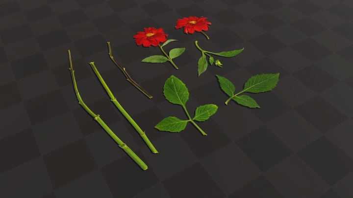 Красный цветок гортензии