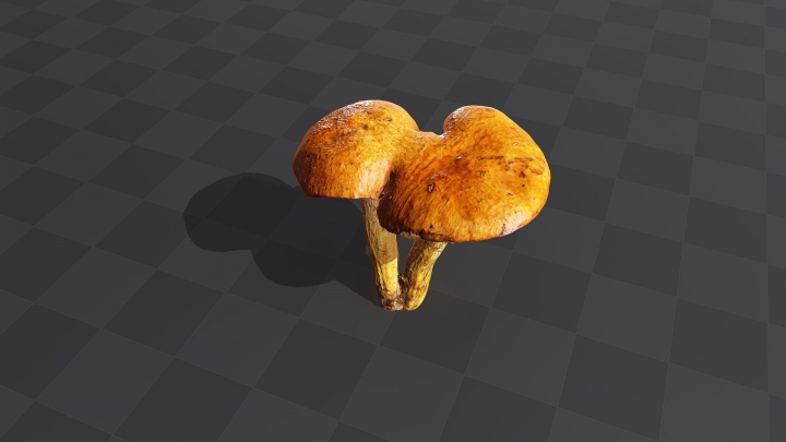 Double Mushroom